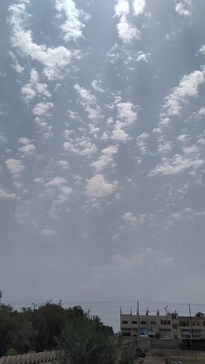 مشاركاتي في أنت الراصد