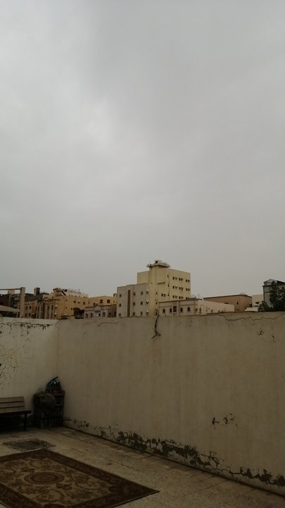 مشاركاتي في أنت الراصد