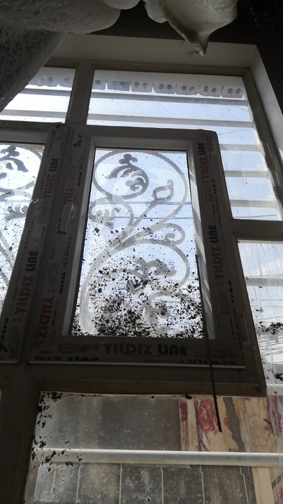 مشاركاتي في أنت الراصد