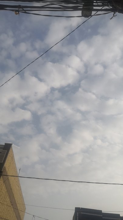 مشاركاتي في أنت الراصد