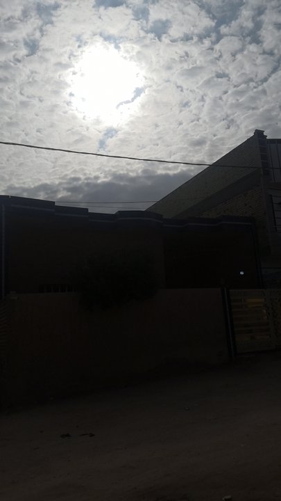 مشاركاتي في أنت الراصد