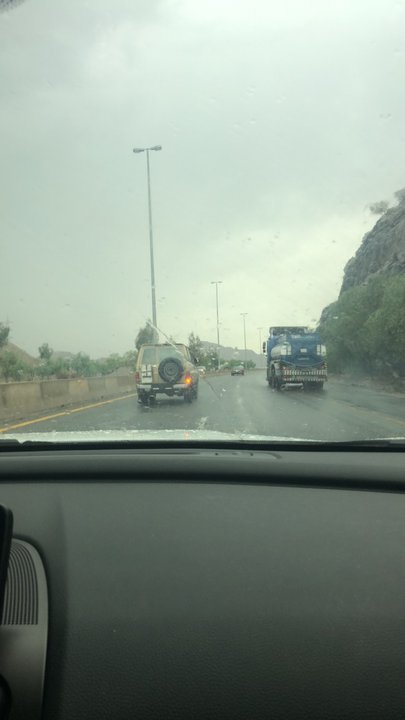 مشاركاتي في أنت الراصد