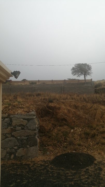 مشاركاتي في أنت الراصد