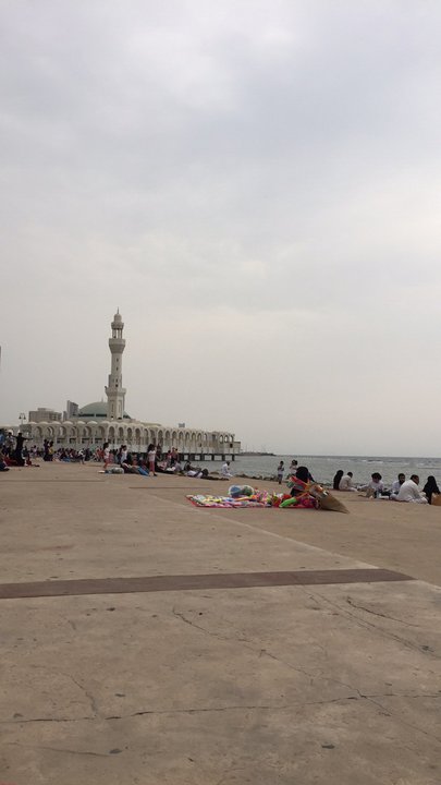 مشاركاتي في أنت الراصد