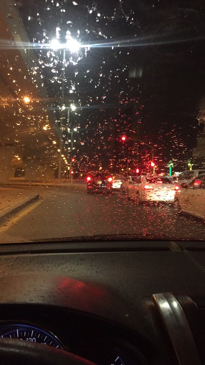 مشاركاتي في أنت الراصد