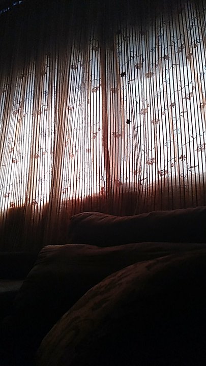 مشاركاتي في أنت الراصد