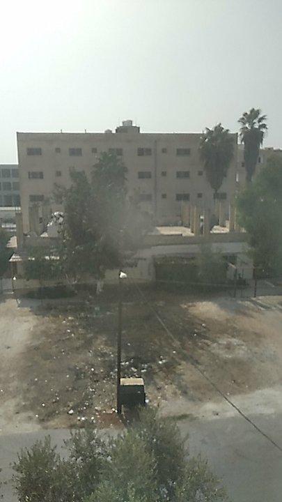 مشاركاتي في أنت الراصد