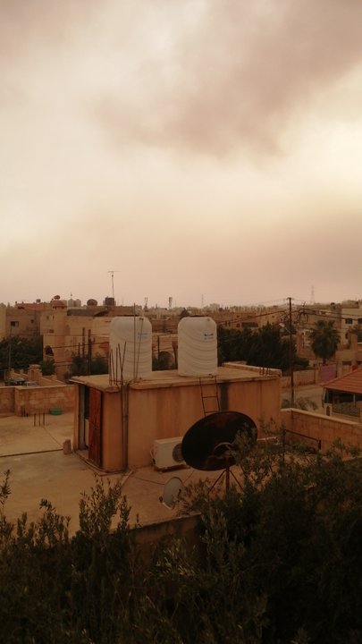 مشاركاتي في أنت الراصد