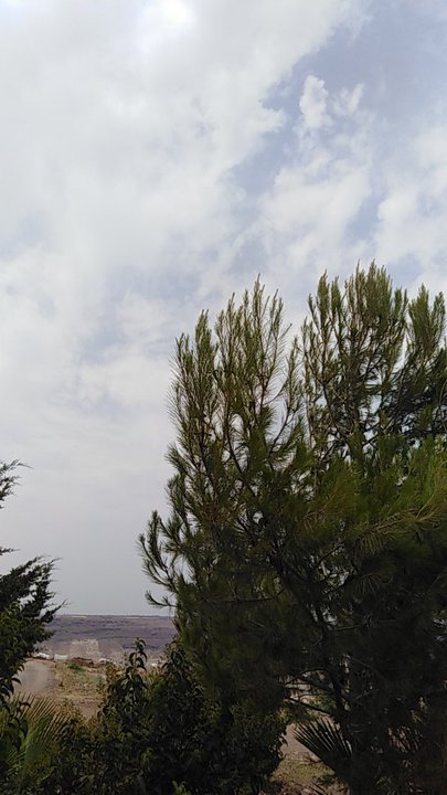 مشاركاتي في أنت الراصد