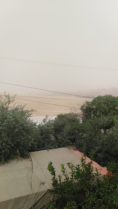 مشاركاتي في أنت الراصد