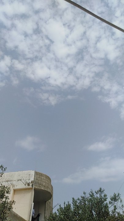 مشاركاتي في أنت الراصد