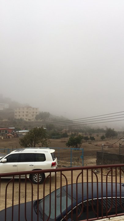 مشاركاتي في أنت الراصد