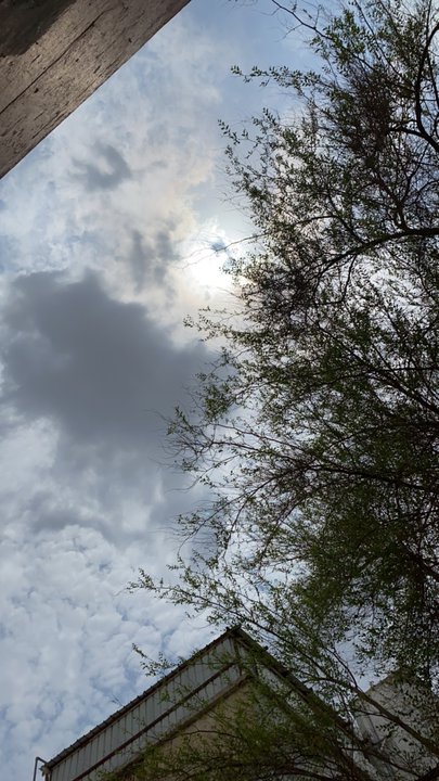 مشاركاتي في أنت الراصد