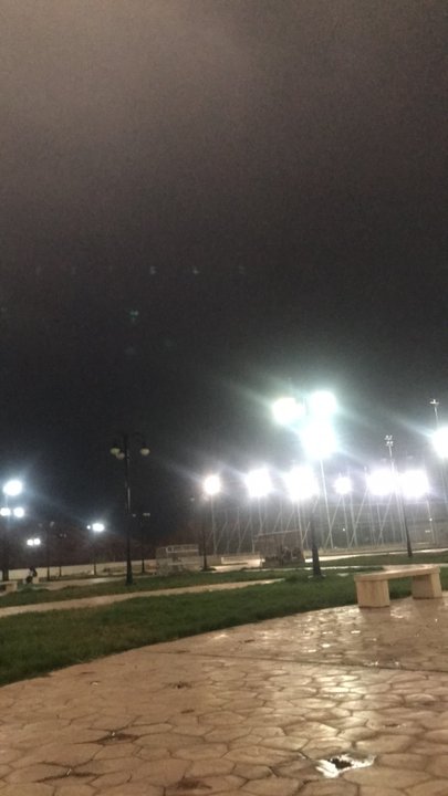 مشاركاتي في أنت الراصد