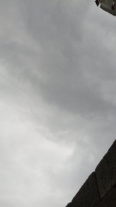 مشاركاتي في أنت الراصد