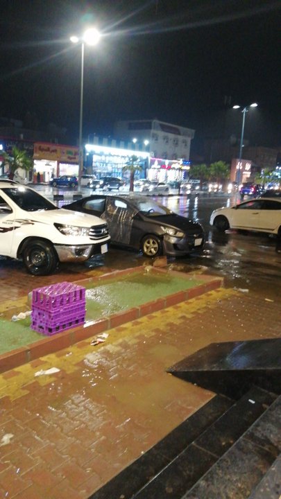 مشاركاتي في أنت الراصد