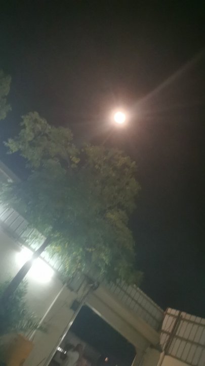 مشاركاتي في أنت الراصد