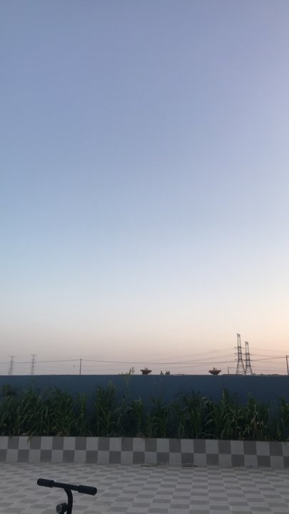 مشاركاتي في أنت الراصد