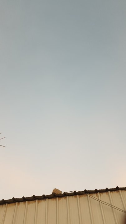 My Crowdsourcing Posts