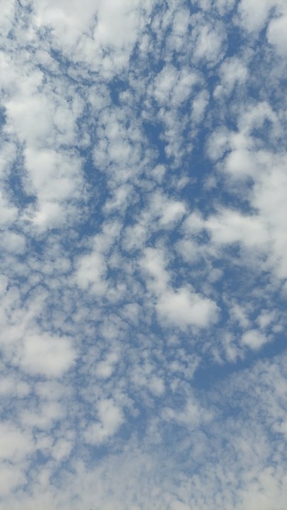 Mes publications Crowdsourcing