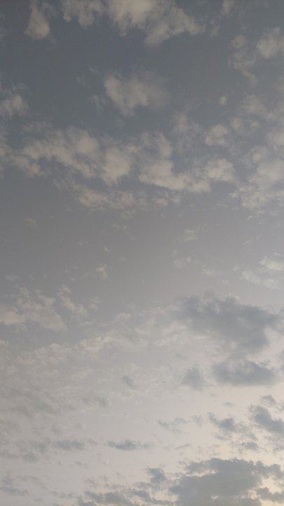 Mes publications Crowdsourcing