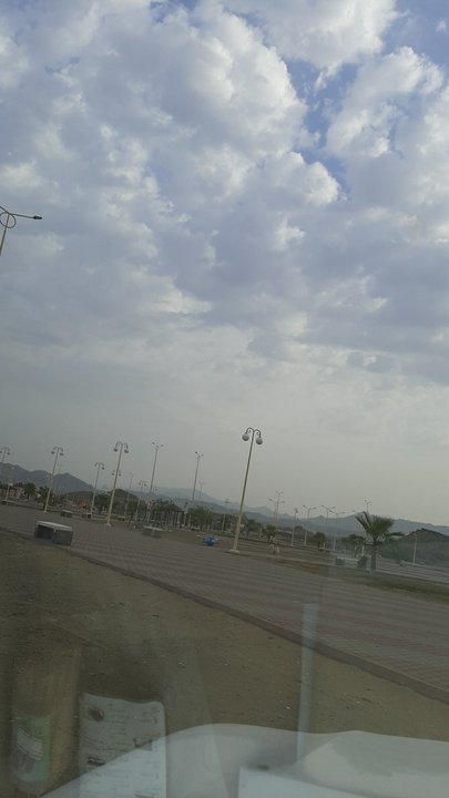 مشاركاتي في أنت الراصد