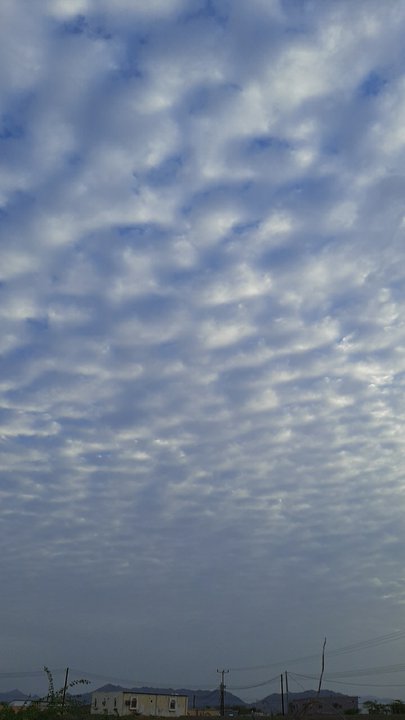 مشاركاتي في أنت الراصد