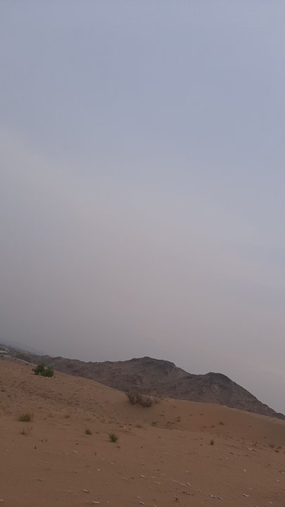 مشاركاتي في أنت الراصد