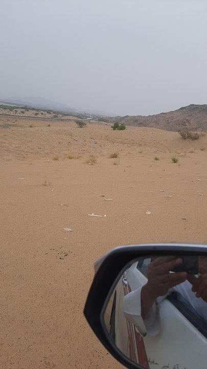 مشاركاتي في أنت الراصد