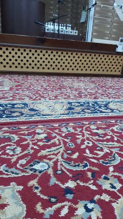 مشاركاتي في أنت الراصد