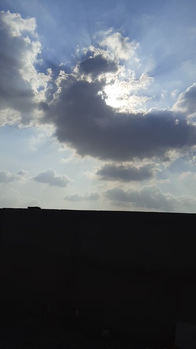 مشاركاتي في أنت الراصد