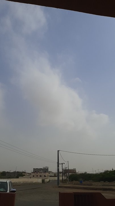 مشاركاتي في أنت الراصد