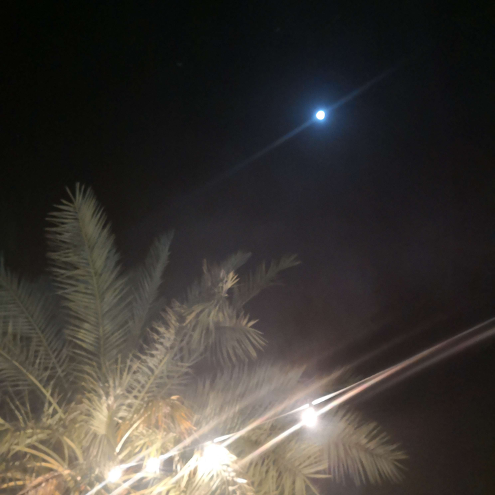 مشاركاتي في أنت الراصد