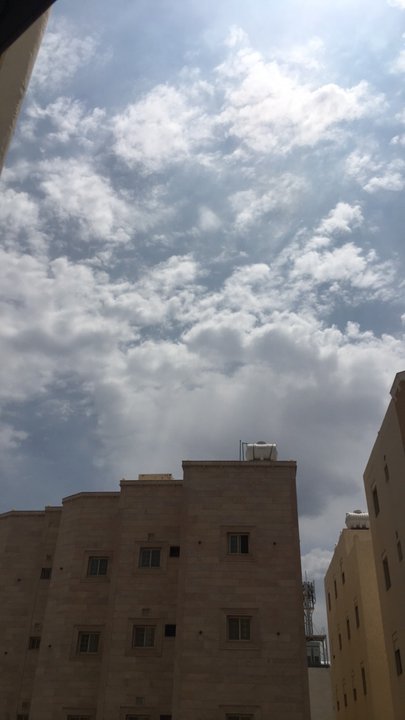 مشاركاتي في أنت الراصد