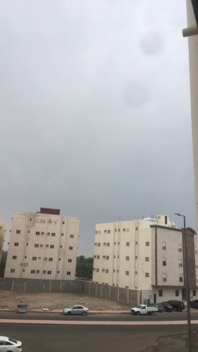 مشاركاتي في أنت الراصد