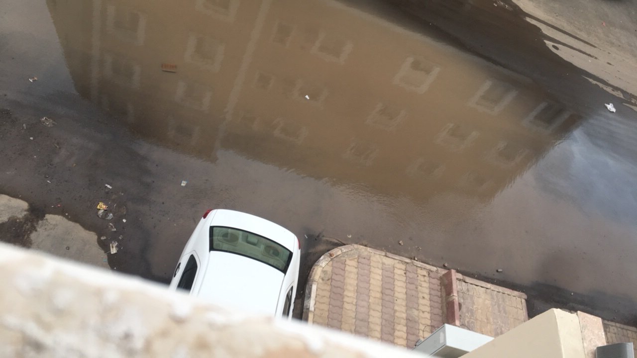 مشاركاتي في أنت الراصد