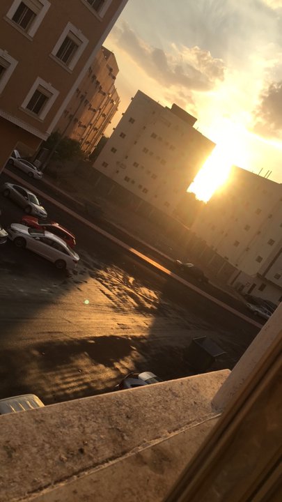 مشاركاتي في أنت الراصد