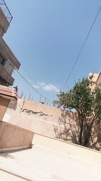 مشاركاتي في أنت الراصد