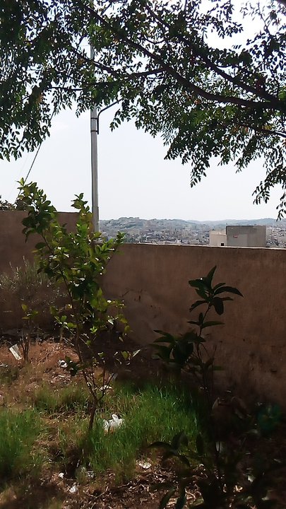 مشاركاتي في أنت الراصد