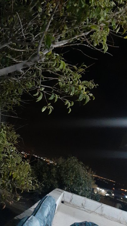 مشاركاتي في أنت الراصد