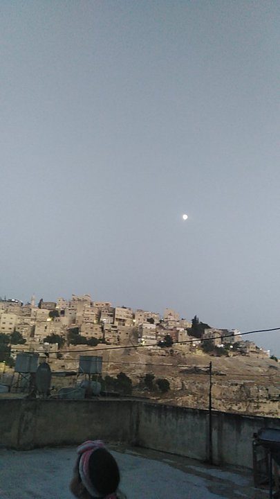 مشاركاتي في أنت الراصد