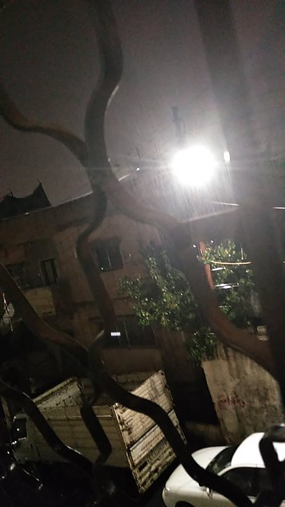 مشاركاتي في أنت الراصد