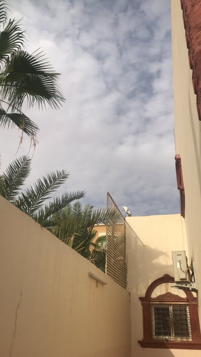 مشاركاتي في أنت الراصد