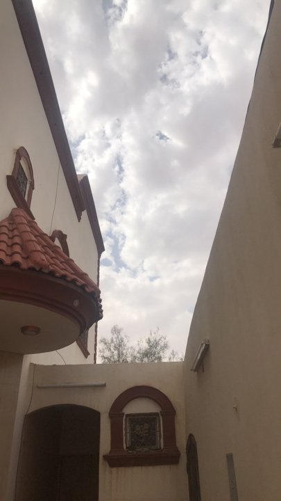 مشاركاتي في أنت الراصد