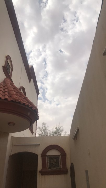 مشاركاتي في أنت الراصد