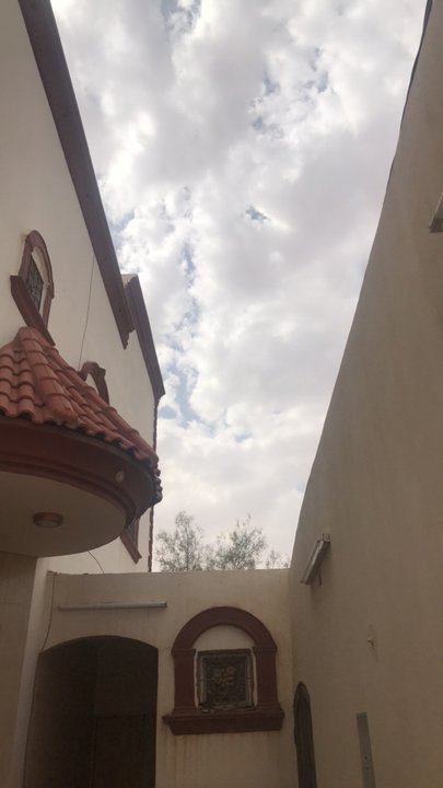 مشاركاتي في أنت الراصد