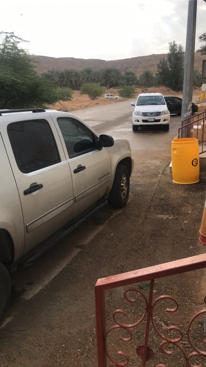 مشاركاتي في أنت الراصد