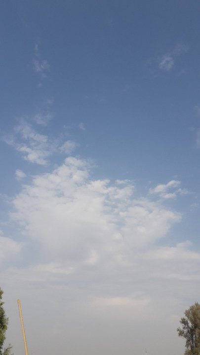 مشاركاتي في أنت الراصد