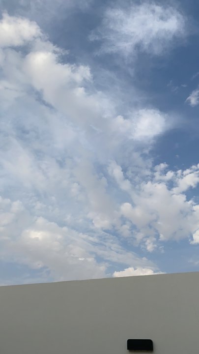 مشاركاتي في أنت الراصد