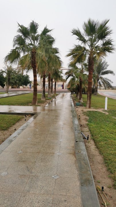 مشاركاتي في أنت الراصد